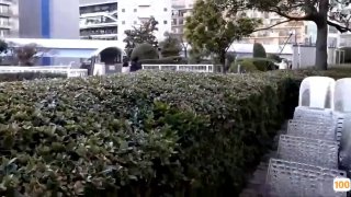 揭秘华语成人片的粉黛江湖“麻豆”的崛起与封杀_影片_社会_群体